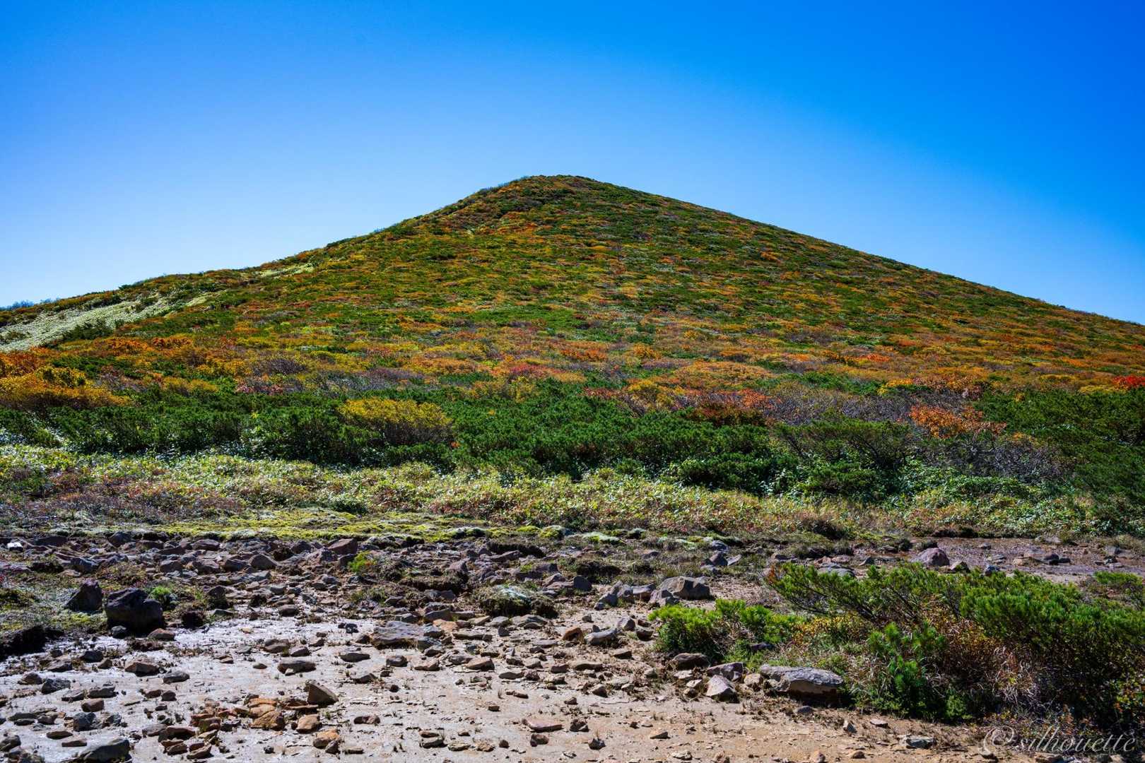 清水平はちょうど見頃🍁

Nikon Z8