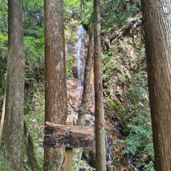 蔦の滝　ここで二人の携帯に緊急情報　浜松大津波？　あわてて下山開始！よーくみたら訓練😓