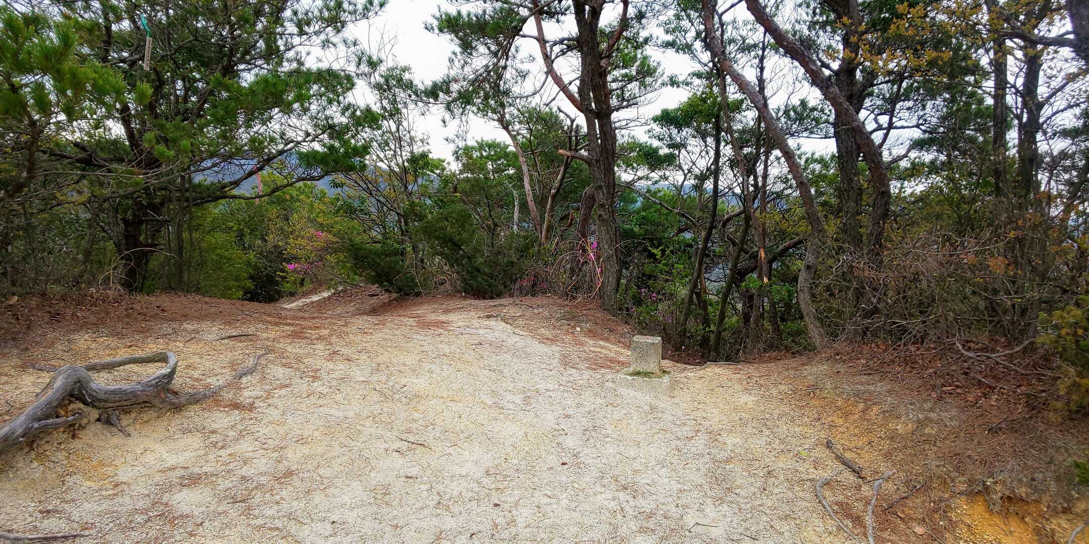 元岩巣山の写真