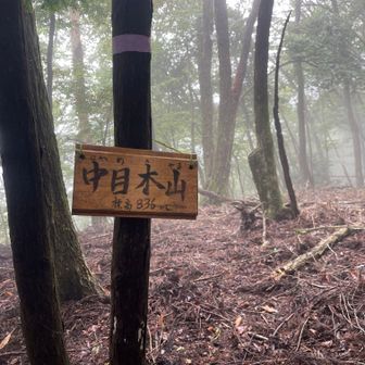 中目木山も樹林帯の中に。