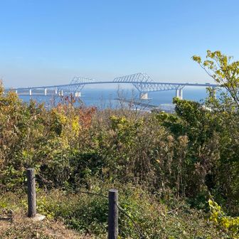 奥に見える大橋を渡ってきました。無料の橋。ドライブに良さそうです😎