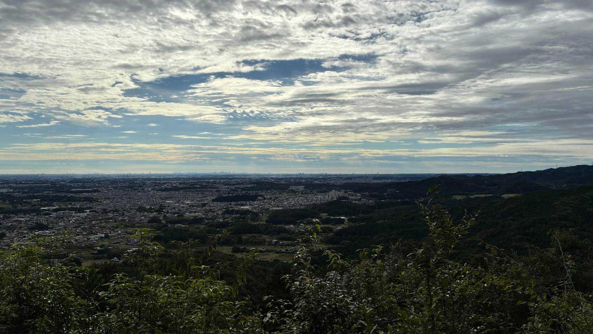 大観山-根っこ山-大高取山 往復コースの写真