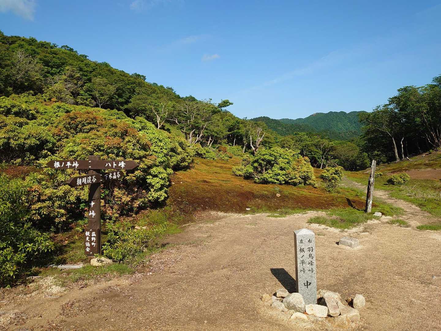 いいトコだ
人のレポでしか見たことが無かったので新鮮です