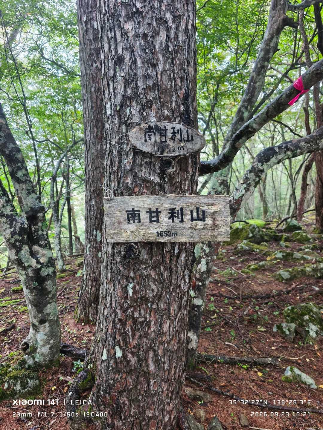 甘利山登山口-甘利山-南甘利山 往復コースの写真