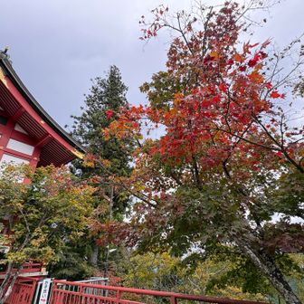紅葉🍁少し始まって
