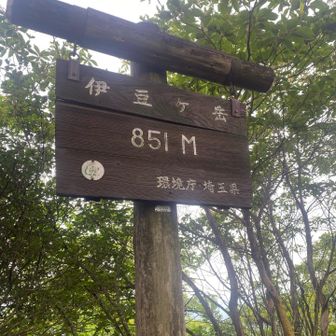 汗だくです。