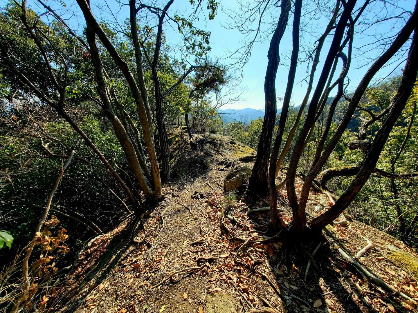 明剣岳-三角点山-明神山 周回コースの写真