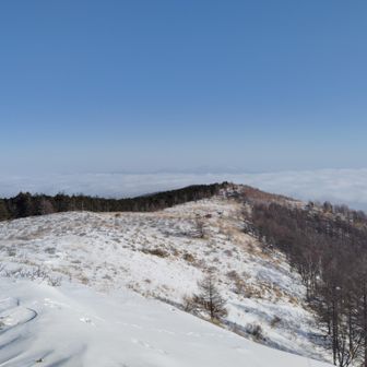 更に奥に行く予定でしたが、トレースもないし、時間が押してきたのでここで引き返しました