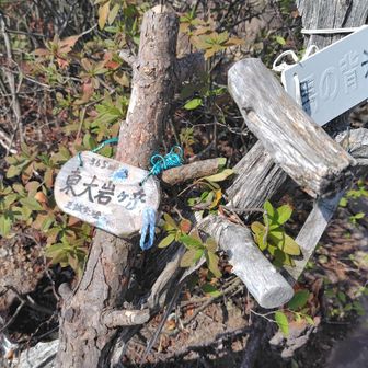 お二人は 馬ノ背のほうへ
東大岩ケ岳(標高 365m)