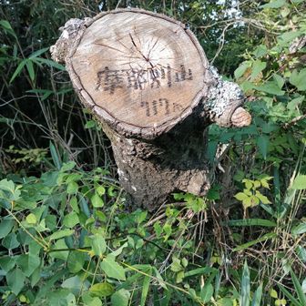 摩耶別山山頂にゃ