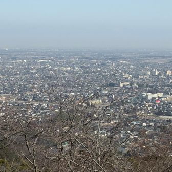 見晴から栃木市街地を望む。