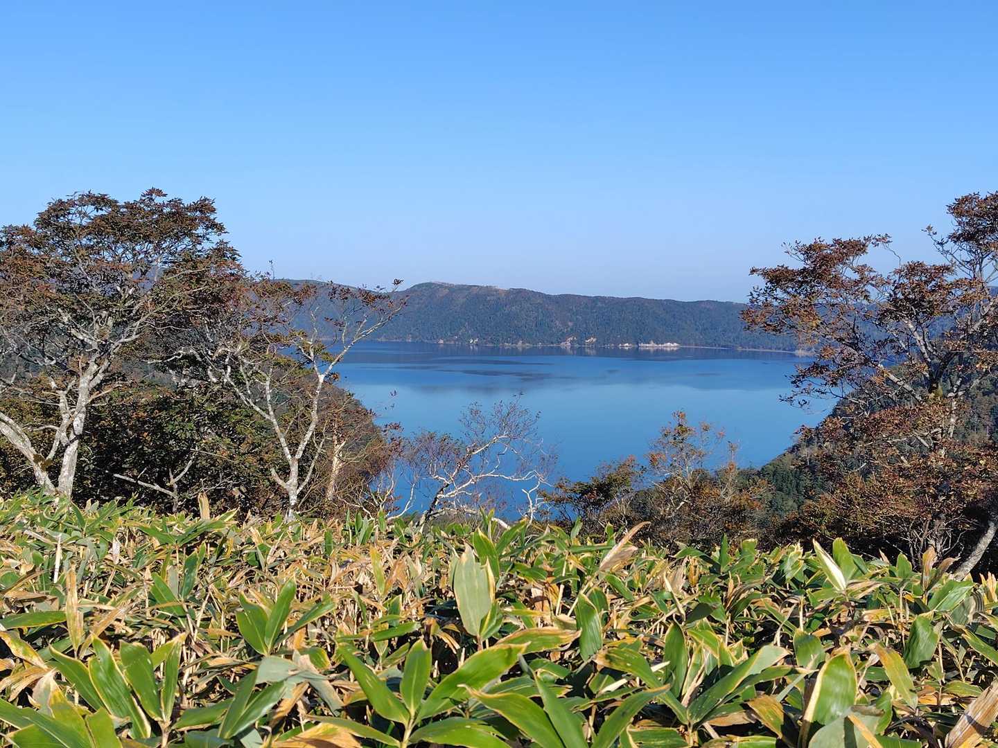 摩周岳 往復コースの写真