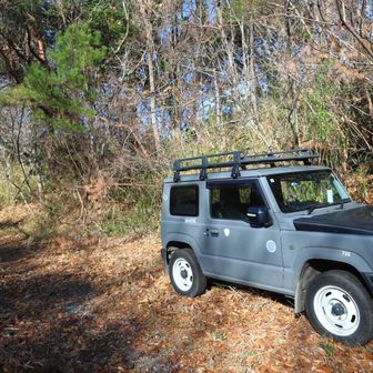 車で林道を移動し、
登山口そばの路肩に駐車