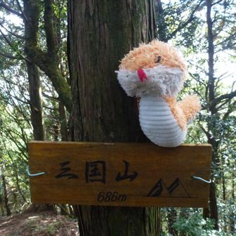 三国山⛰️壁降ってきた💦