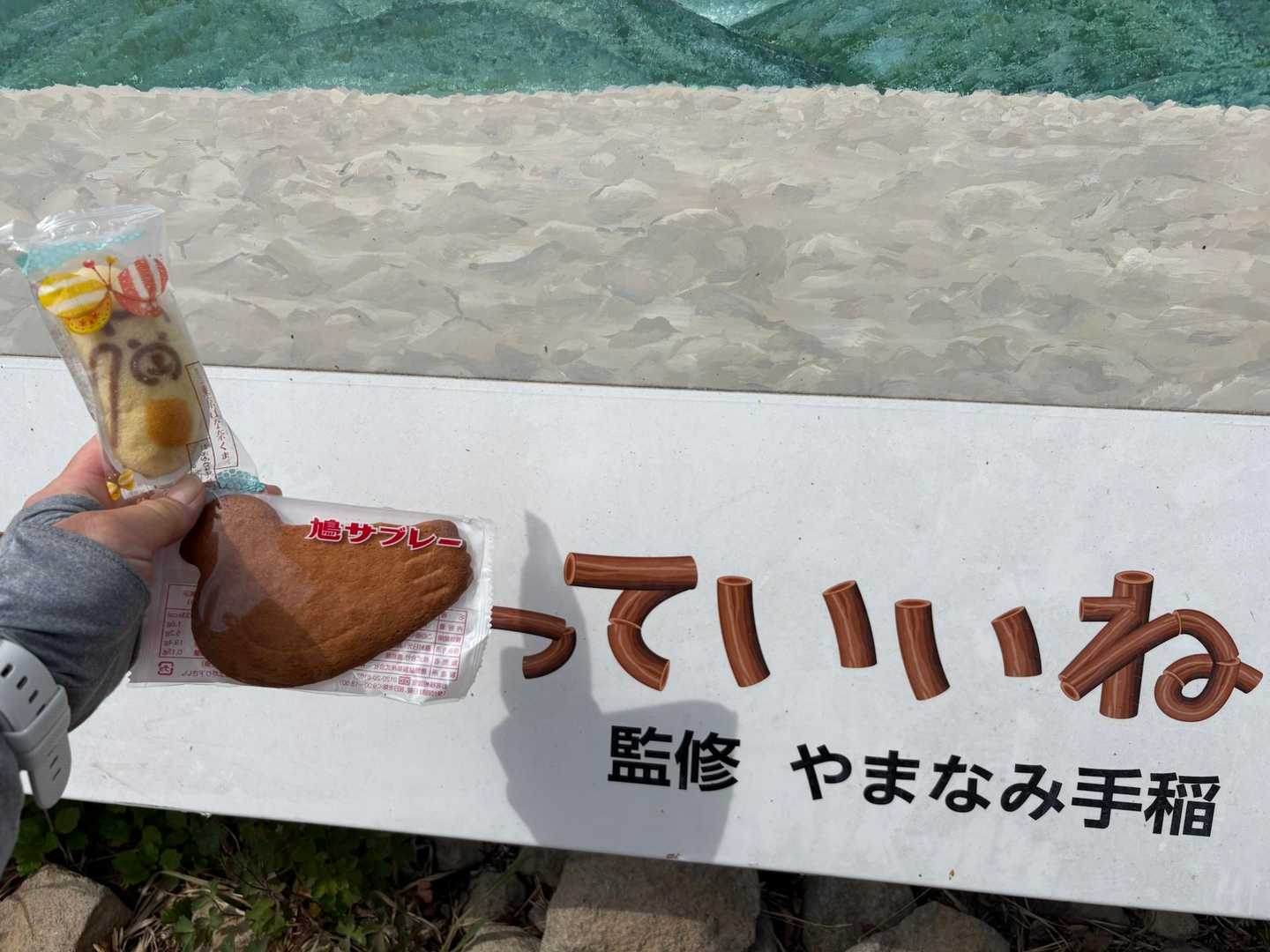 手稲山 / こずちんの登山データ | YAMAP / ヤマップ