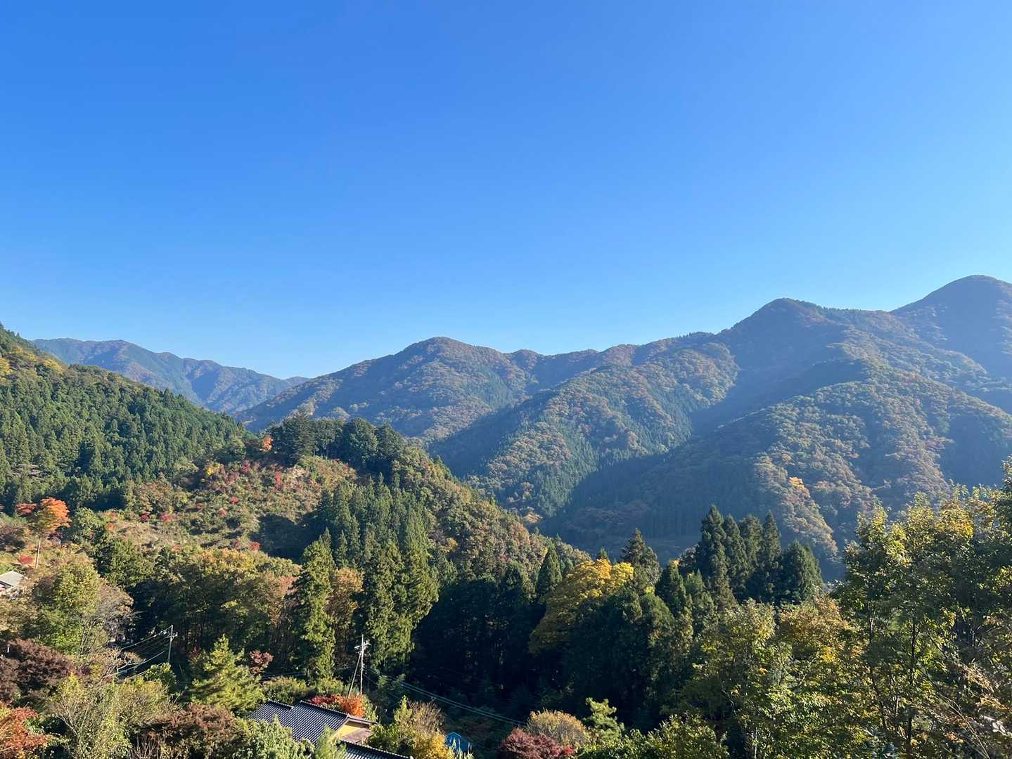 日向山登り口-琴平神社-日向山 周回コースの写真