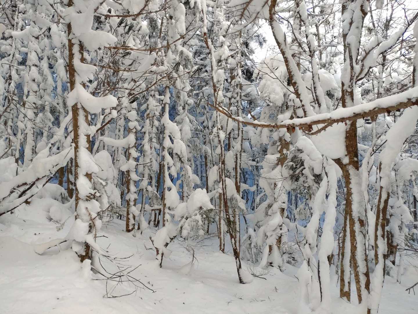 奥はブルーの世界❄👀✨

分かるかなぁー？