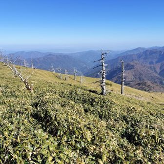 広大な笹原

槍戸山は行かずに、またいつか。
