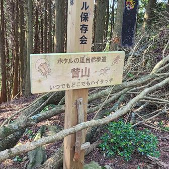 昔山
それでも、登って下ってメリハリ感はあって…