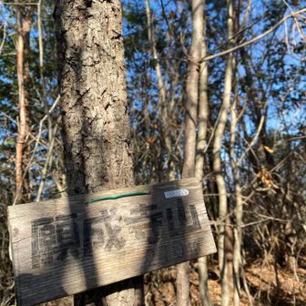 願成寺山⛰️270m
なだらかでとても歩きやすい登山道でした♪