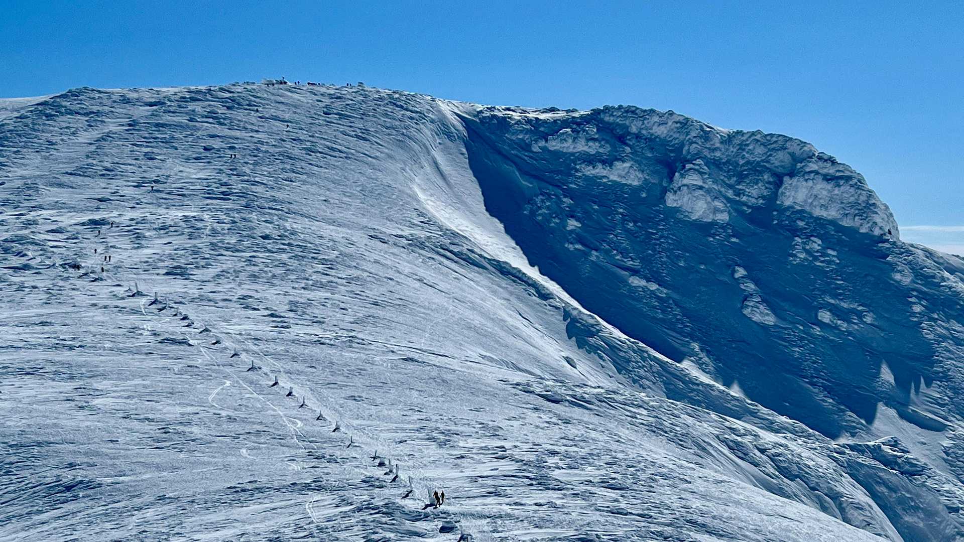広大な雪原がドーンと広がり、雄大。人はまさに蟻にしか見えない（笑）。