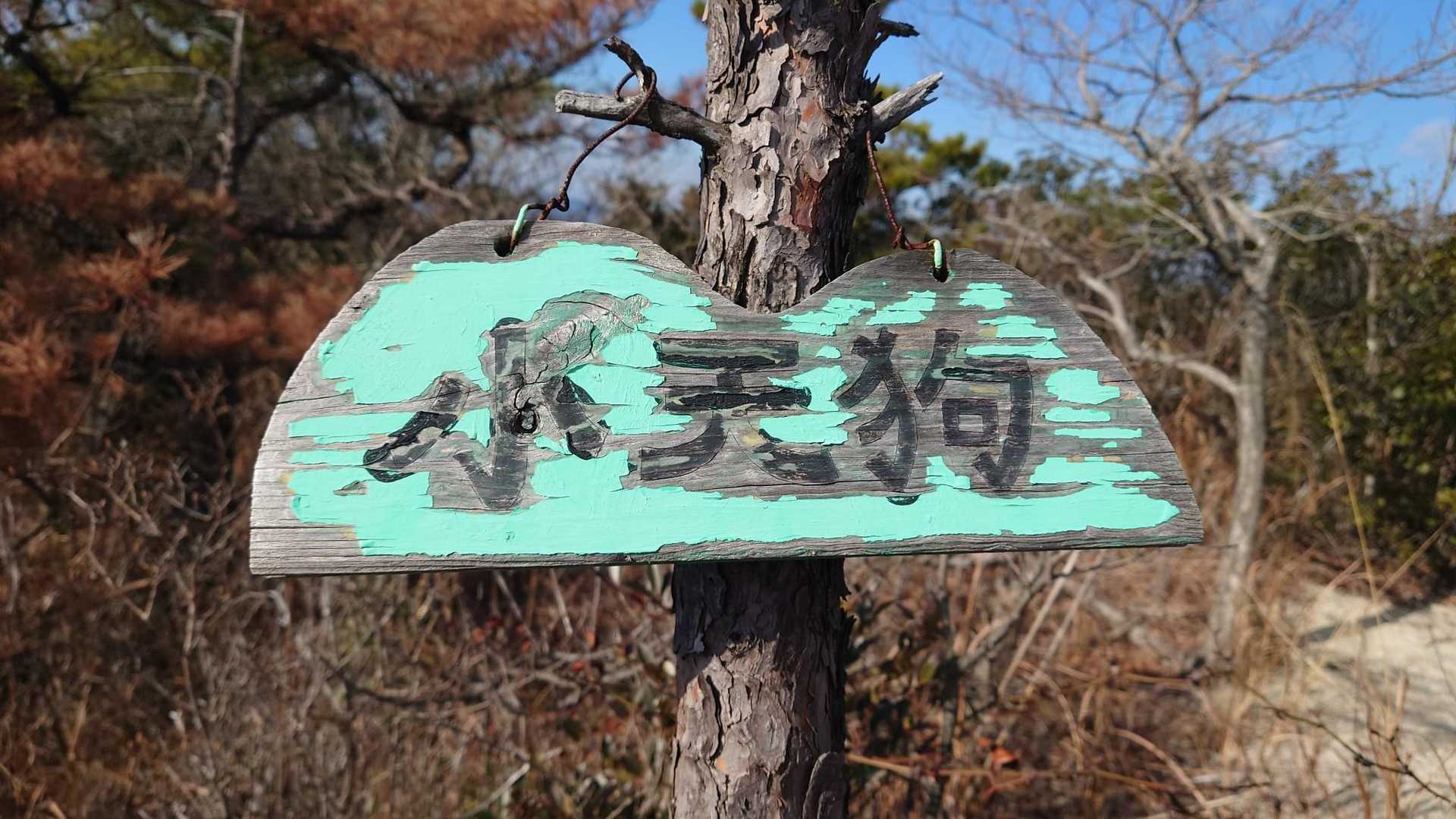 小天狗山ピーク到着