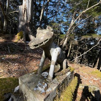 狛犬独特！後から狼だと知りました