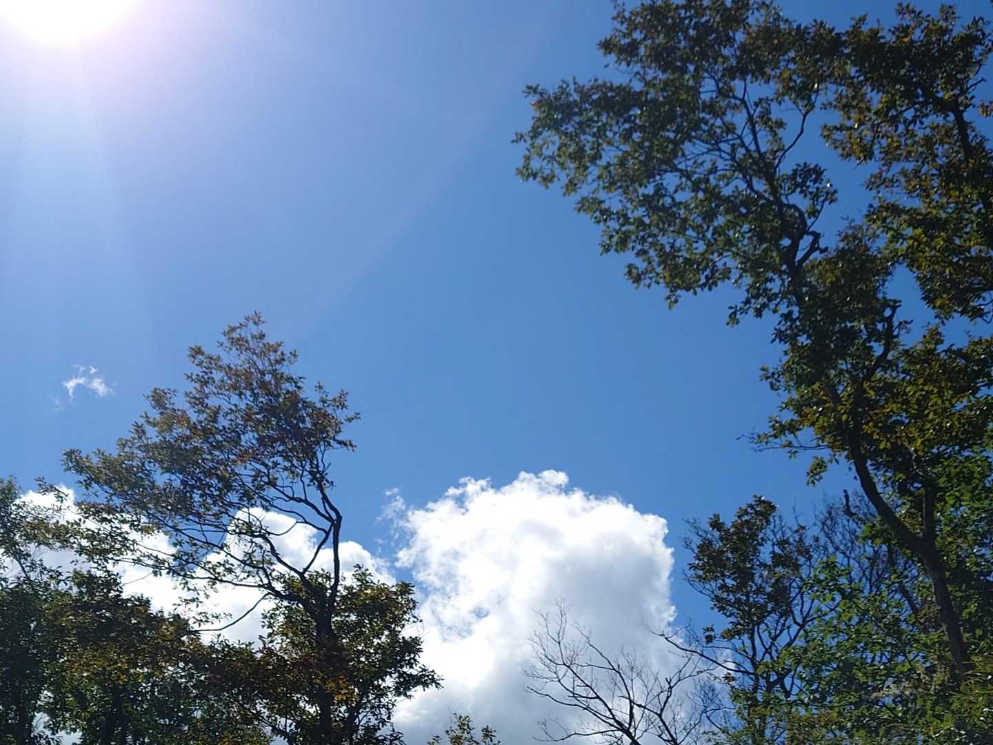 ちょっと汗ばむ陽気💦