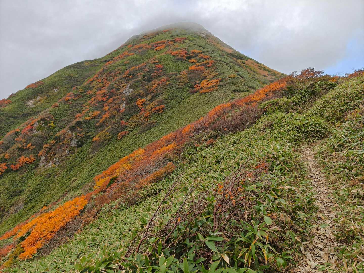 鉾立峰の前でちと晴れる
笹の中にオレンジが映え～