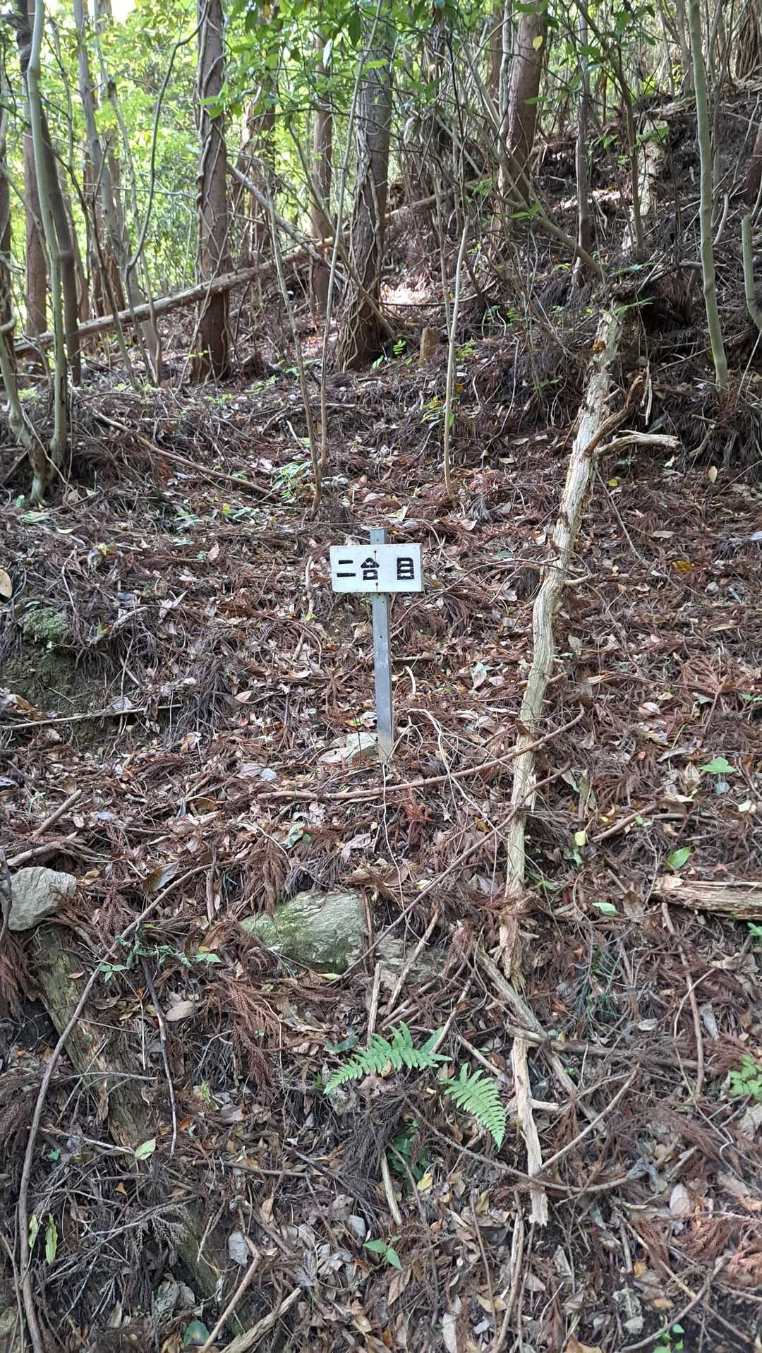 10分で2合目