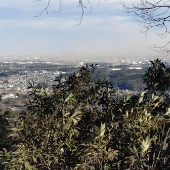 強風に巻き上げられた砂塵で、東京方面は霞んでる
手前の木々も強風で大振れ