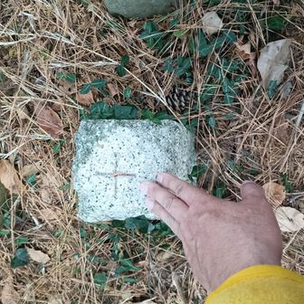 三角点タッチ。