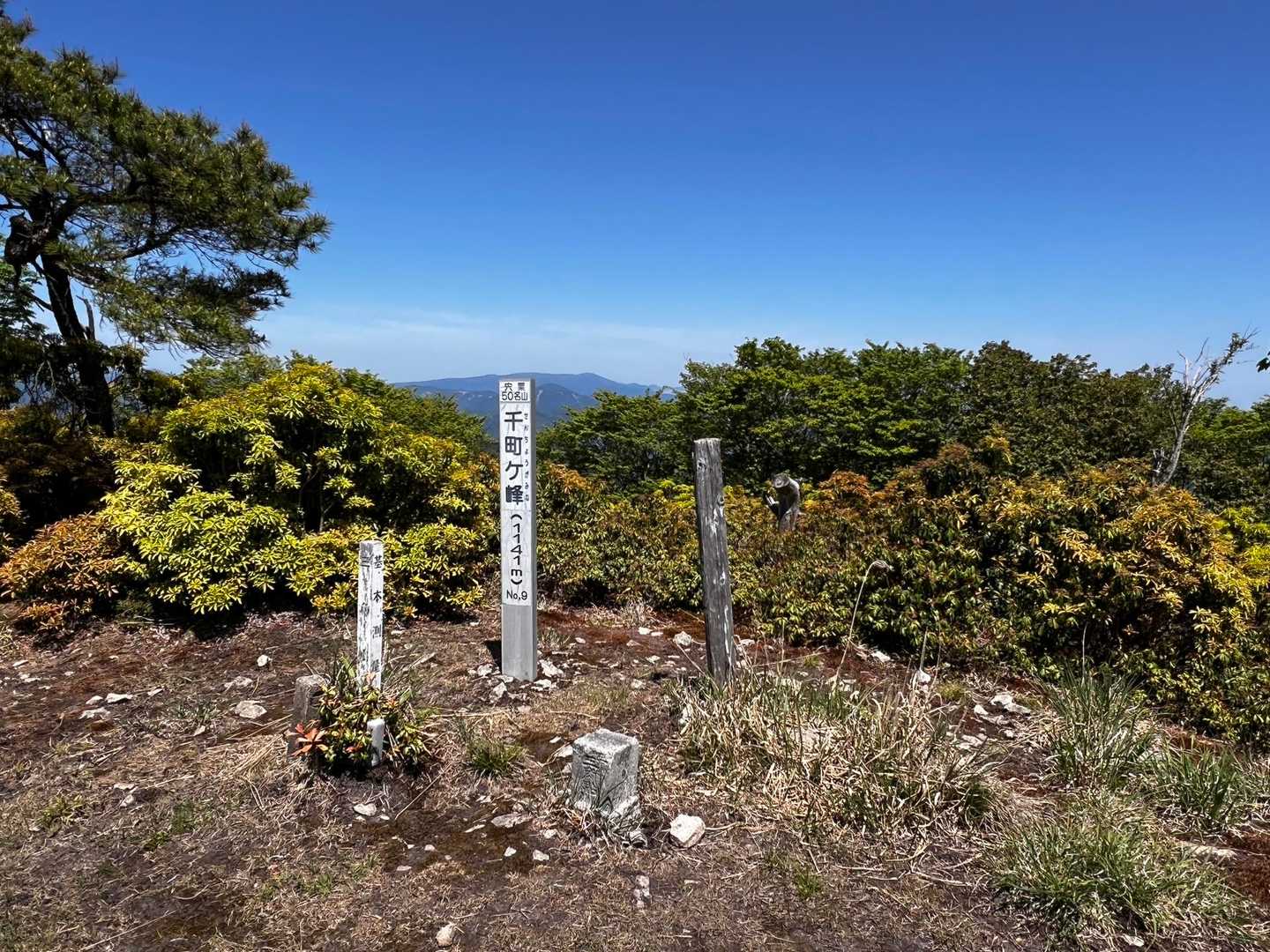 千町ヶ峰山頂