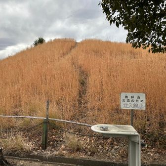 機神山、古墳なので登れなくなりました
