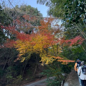 麓もちらほら紅葉。