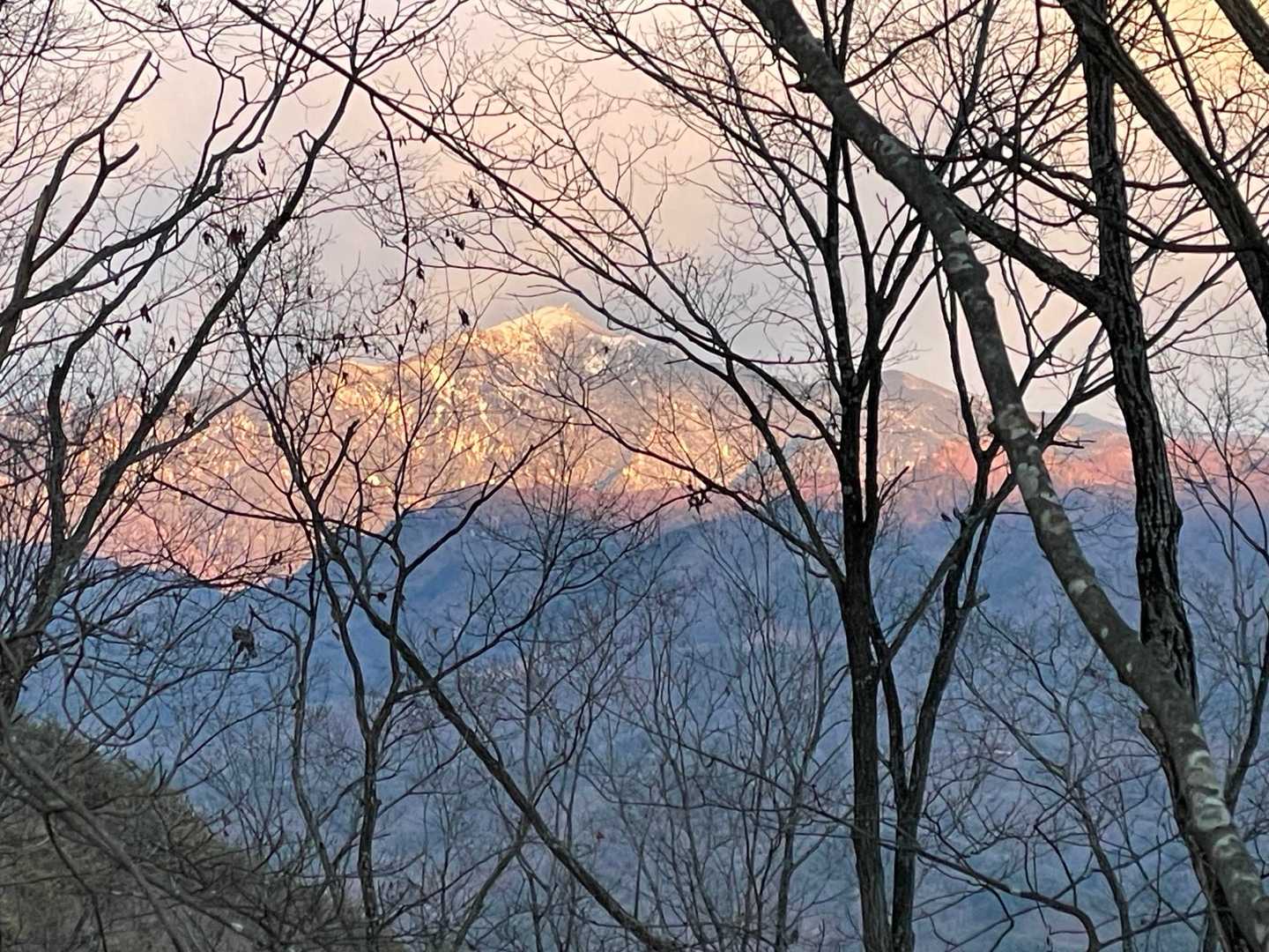 パッと拓けたところが無いのだ。でも染まる金峰山が綺麗でカッコよかった✨✨