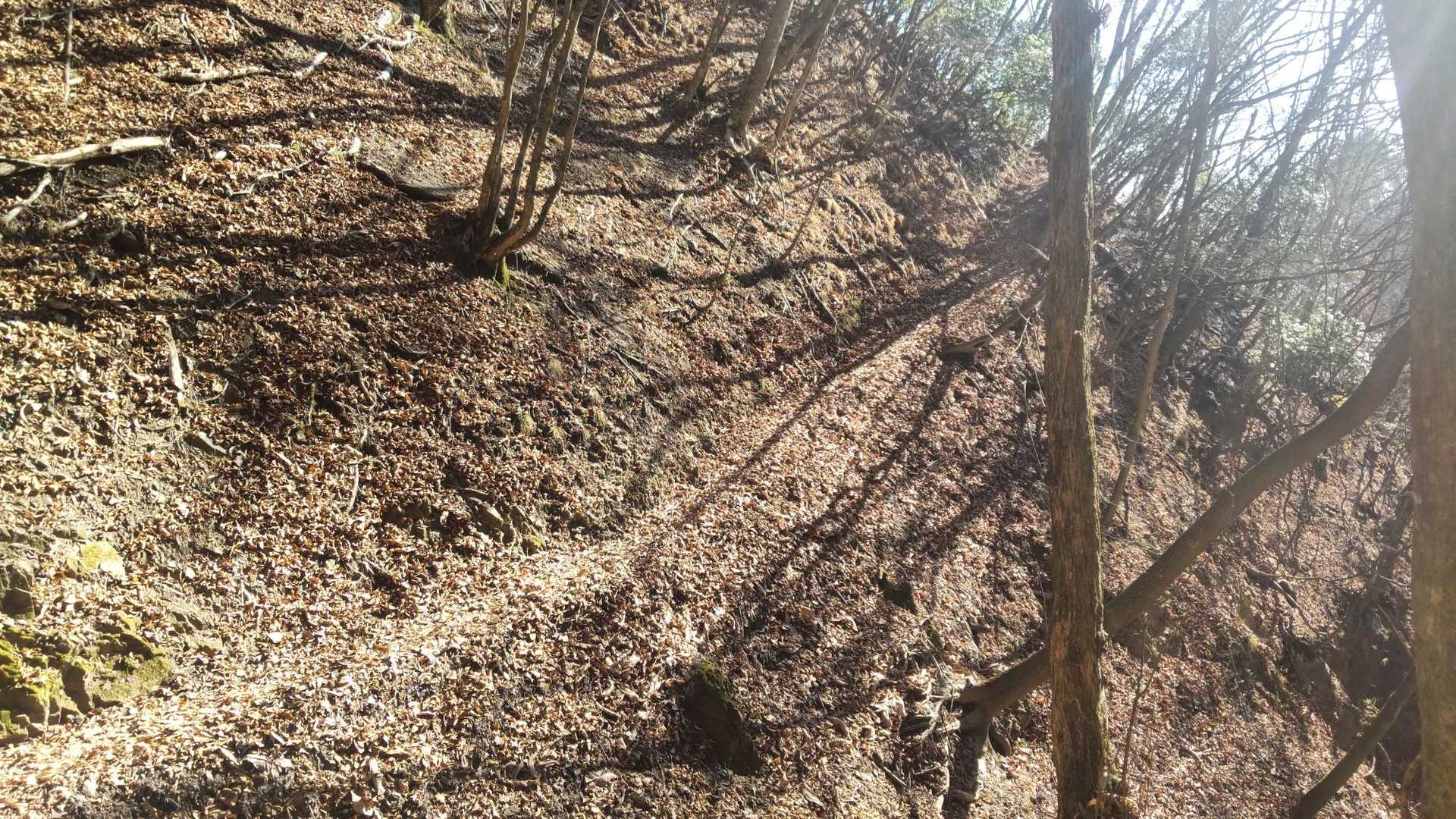 鳩ノ巣駅方面へ下ります
細い登山道に落ち葉がたくさん積もってる🍂
滑ったらアウト💦
慎重に進みます