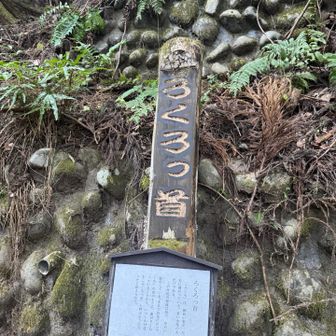 急登を必死に登る