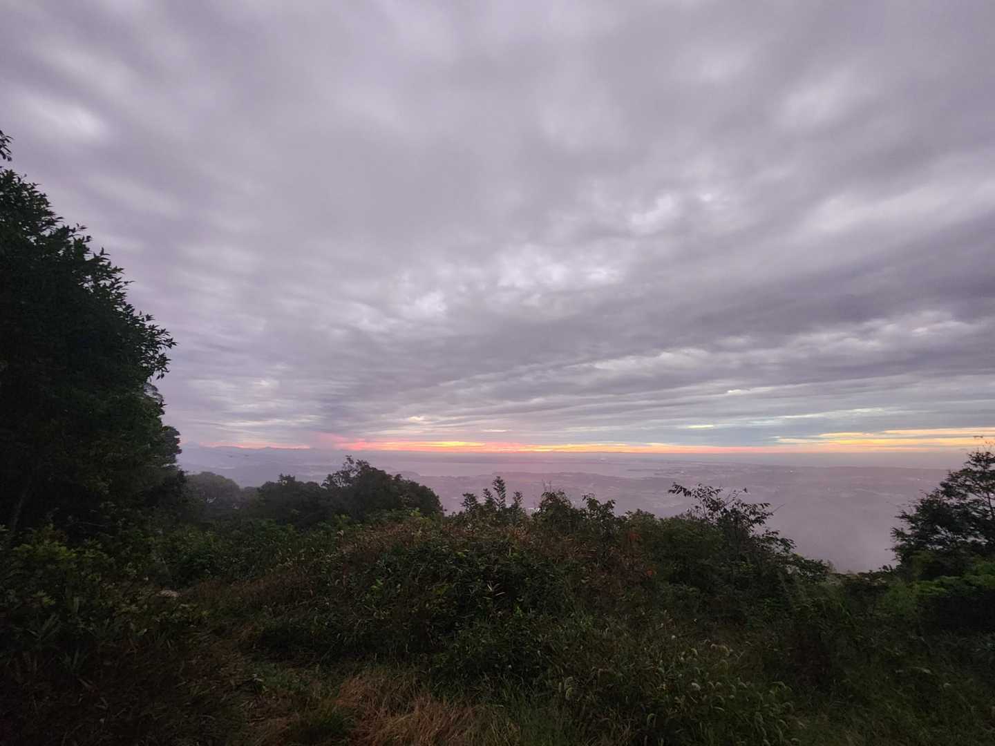 梅田峠-神石山  往復コースの写真