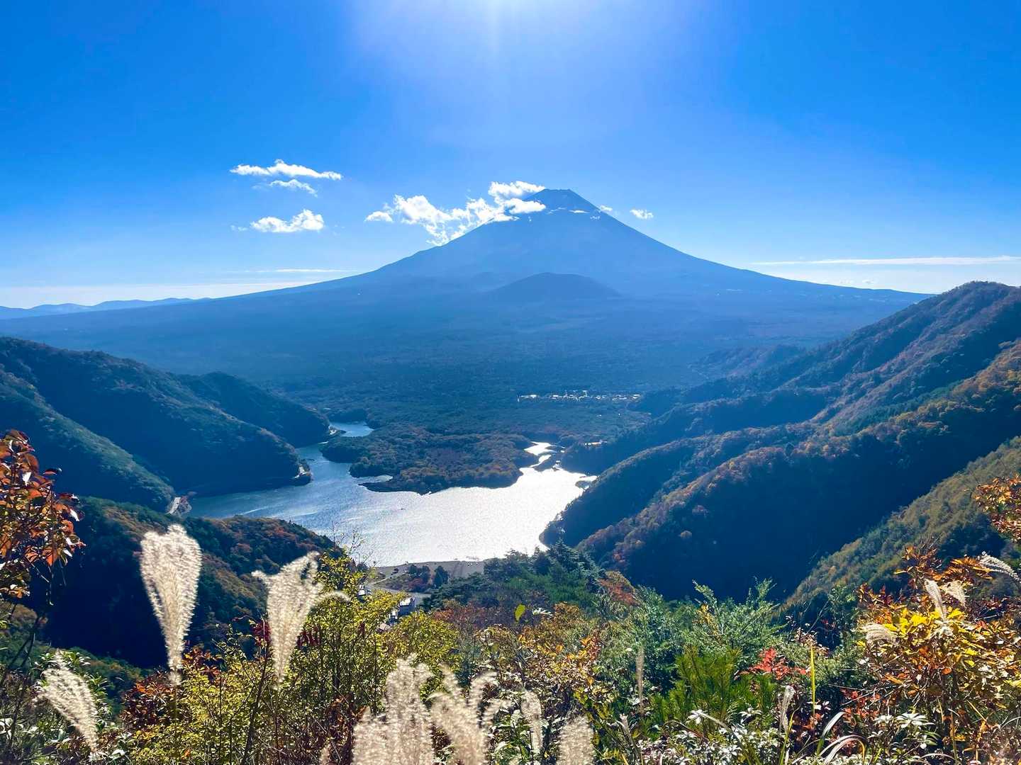 パノラマ台下バス停-パノラマ台入口-根⼦峠-パノラマ台-精 周回コースの写真