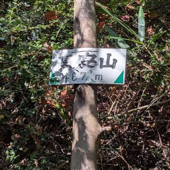 高安山　陽射しが強くて　読みにくい
