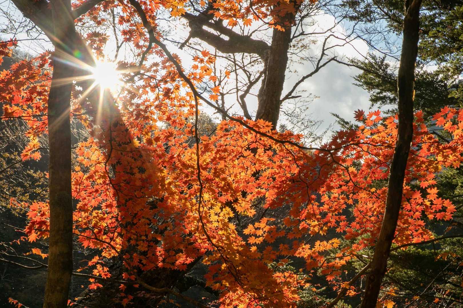 西沢渓谷入口バス停-木賊山 縦走コースの写真