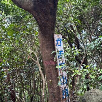 竈岳(かま岳) 
山頂。

竈は「かまど」のかまですね。
隣もかま岳。
そちらの「かま」は釜でした。