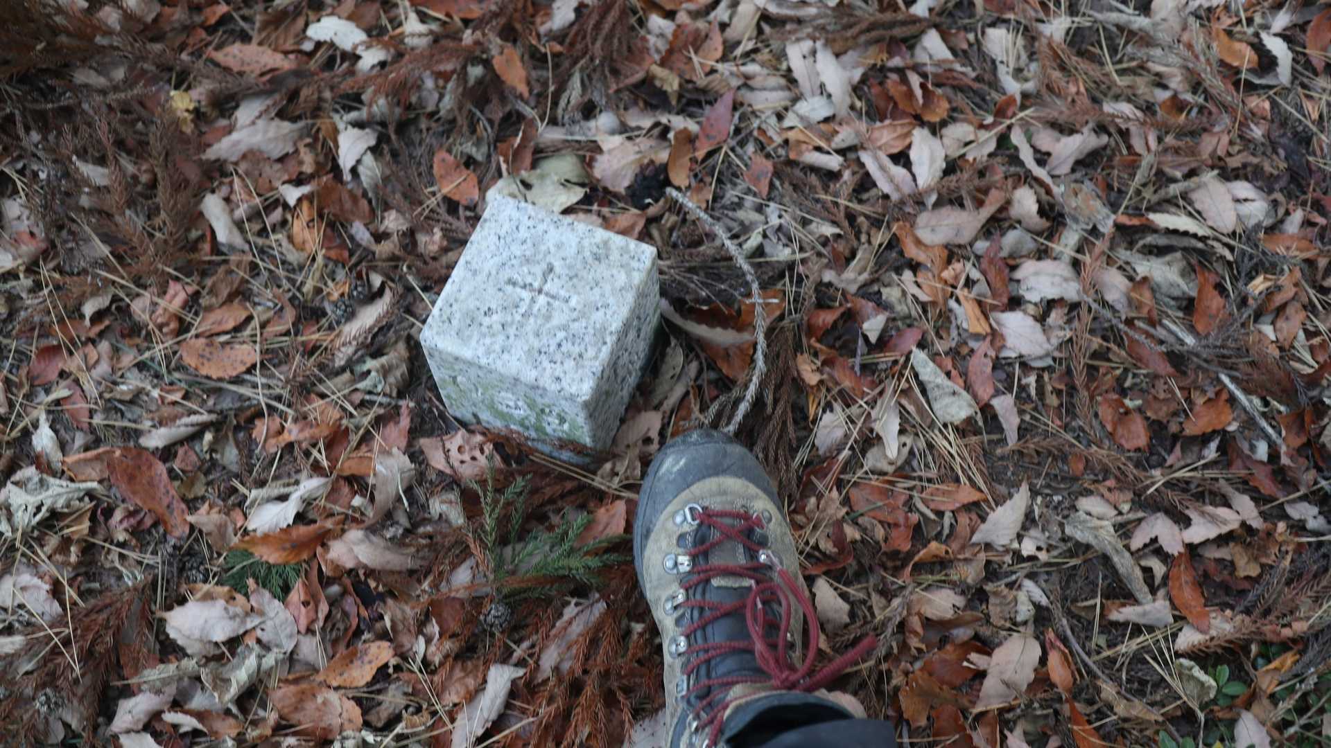 米ノ餅山山頂。山頂付近の傾斜が緩いあたりからだんだん茨メインの藪が増え、歩行に難儀する。
ここまでモンベル椅子は見つからず。先週下山した反対側の登山口に向けて、見つかるまで歩いてみる。