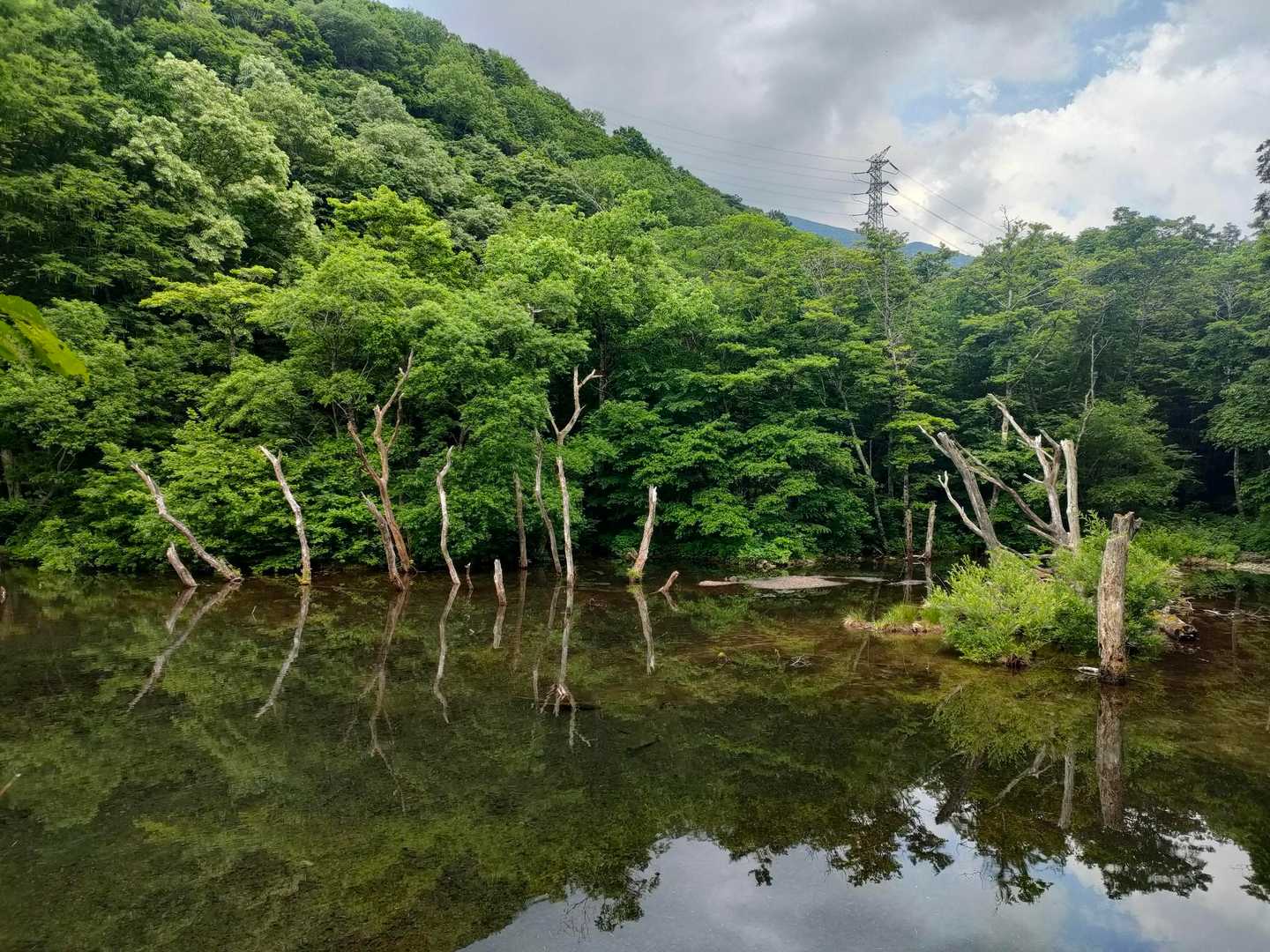 駐車場手前の堰堤からの風景。
　ままんに見せようと誘うが、「私は余計な動きはもうしない」とばかりに取り合ってもらえない💦
　それよりも先に行って、車を開けて中を冷やしておけという指令が出る。この後ダッシュで抜かして車を開け、陛下の到着をお待ちしておりました✨