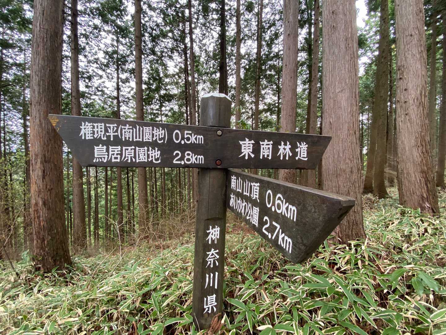 権現平まで0.5km