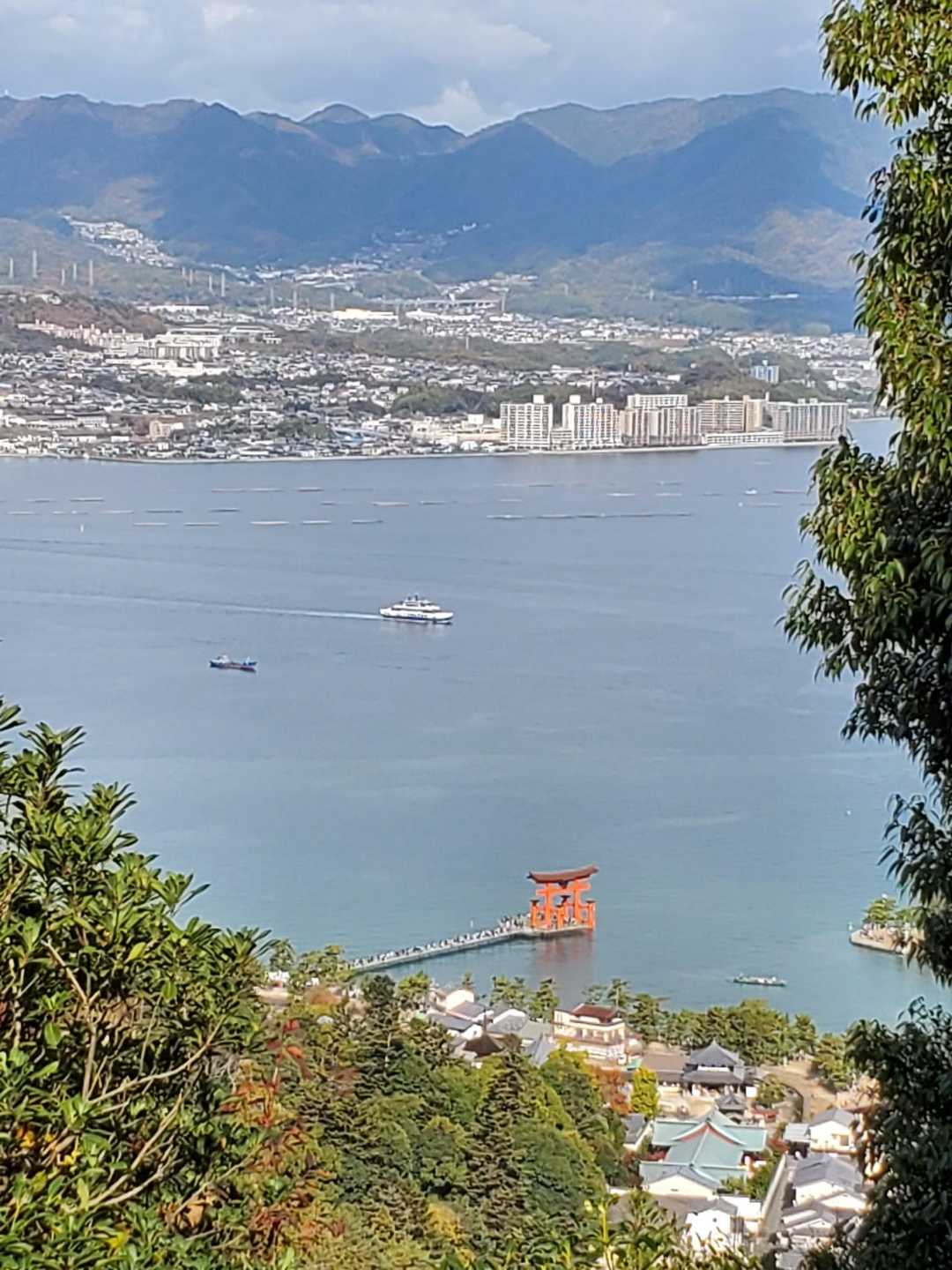 弥山 往復コースの写真