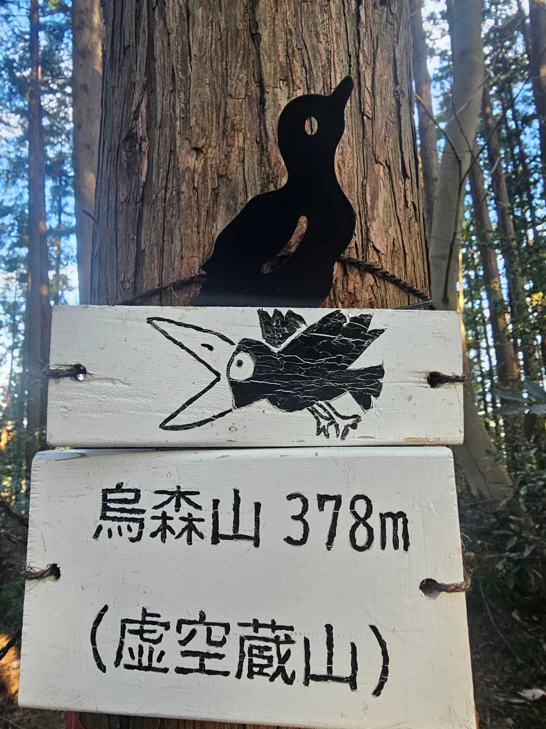 漫画　シティーなんちゃらに出てくるカラスみたい(笑)