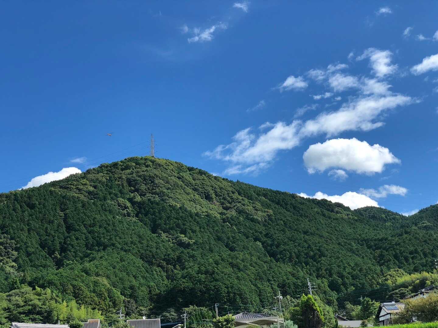 岳城山の写真