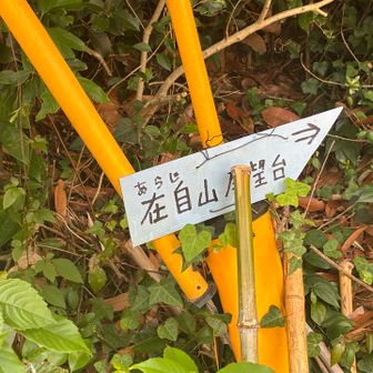 無事に下山